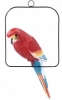 Papoušek na houpačce / CH9802